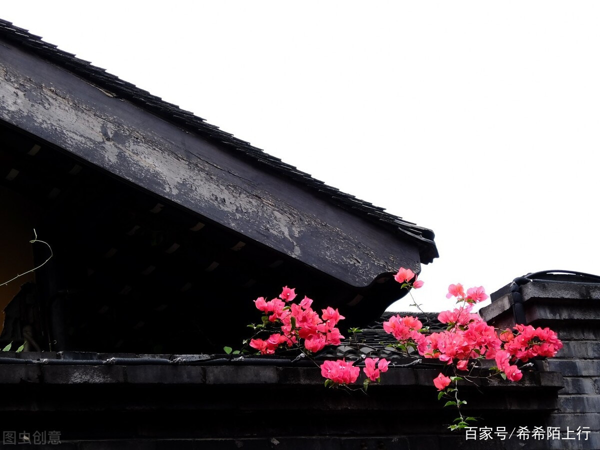 叶绍翁“一枝红杏出墙来”，红杏本是正经花，为何会有“出墙”意_百科TA说