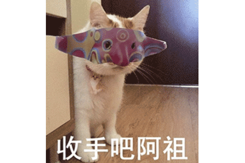 收手吧阿祖