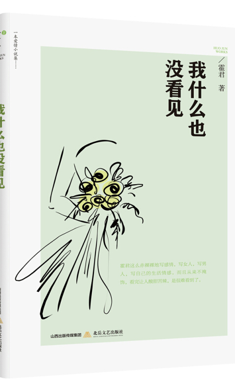 我什么也没看见-爱情小说集