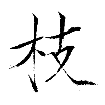 枝_百度百科