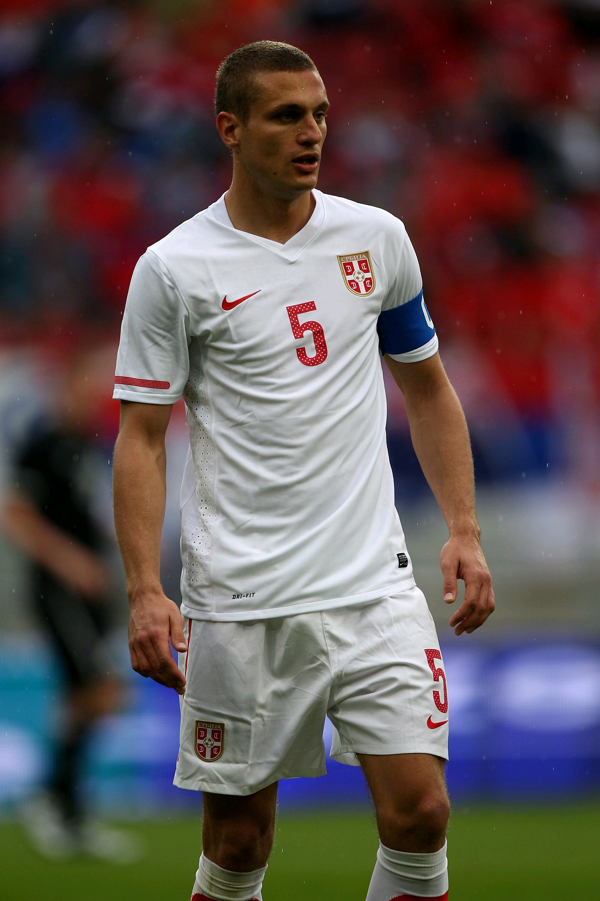 内马尼亚·维迪奇