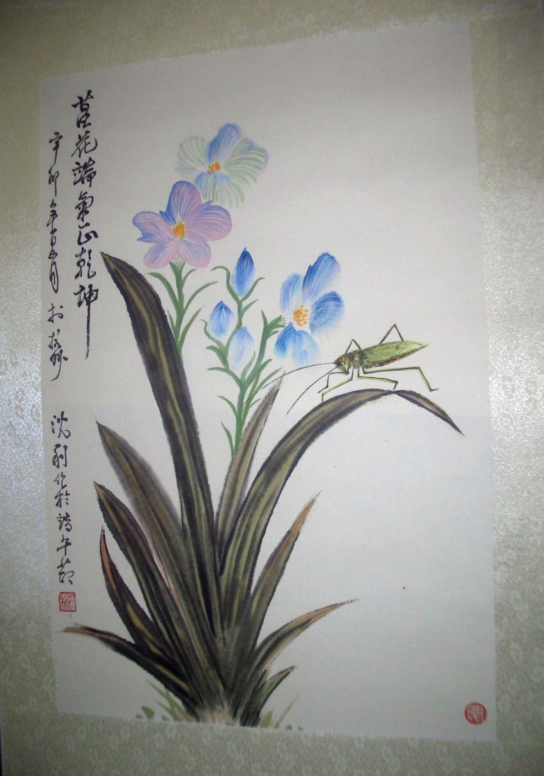 菖蒲