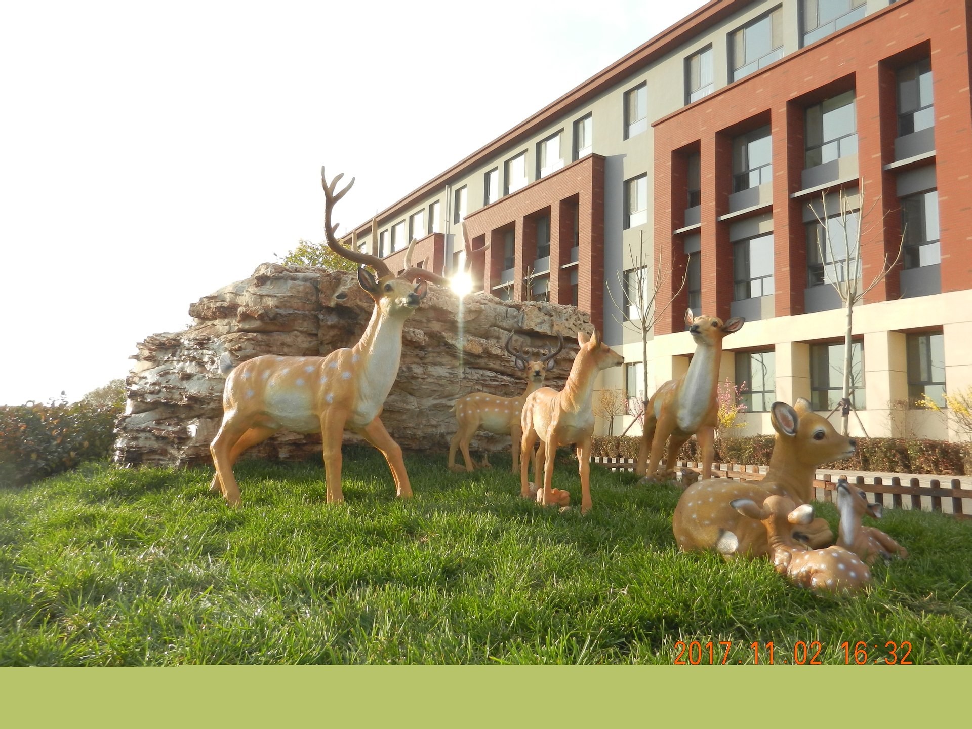 北大培文晋中实验学校