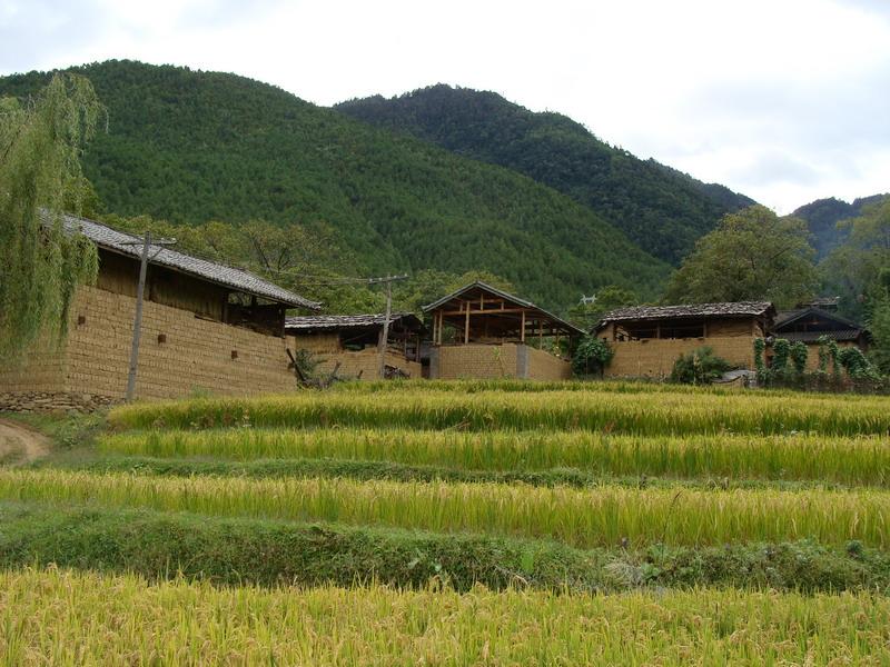  p>启别村隶属云南省 a target="_blank" href="/item/维西傈僳族自治