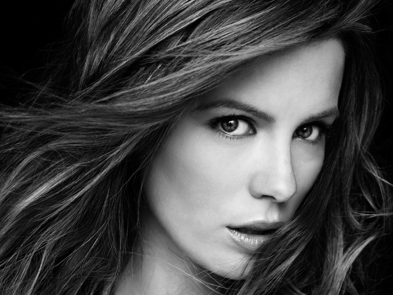 凯特·贝金赛尔