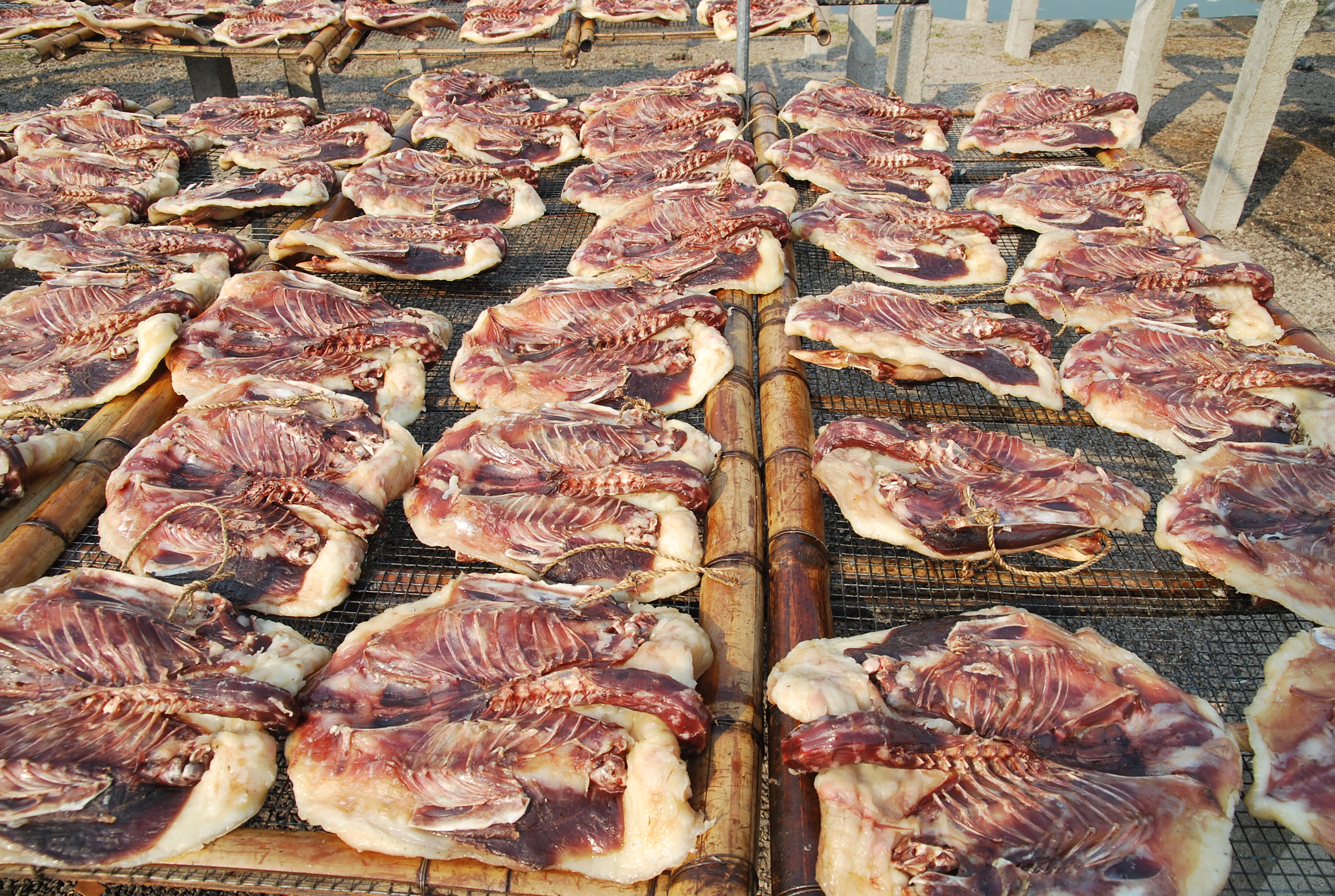  p>油鸭即腊鸭,以虎门白沙所产的油鸭最出名,被称为东莞特产三宝之一.