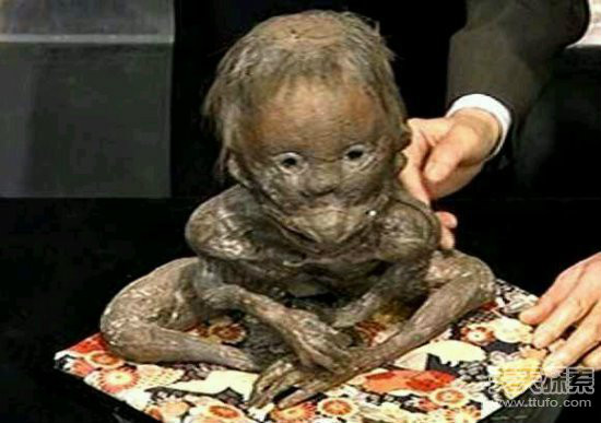  p data-id="gntbsc8996">河童是日本民间传说中的传说生物,有鸟的喙