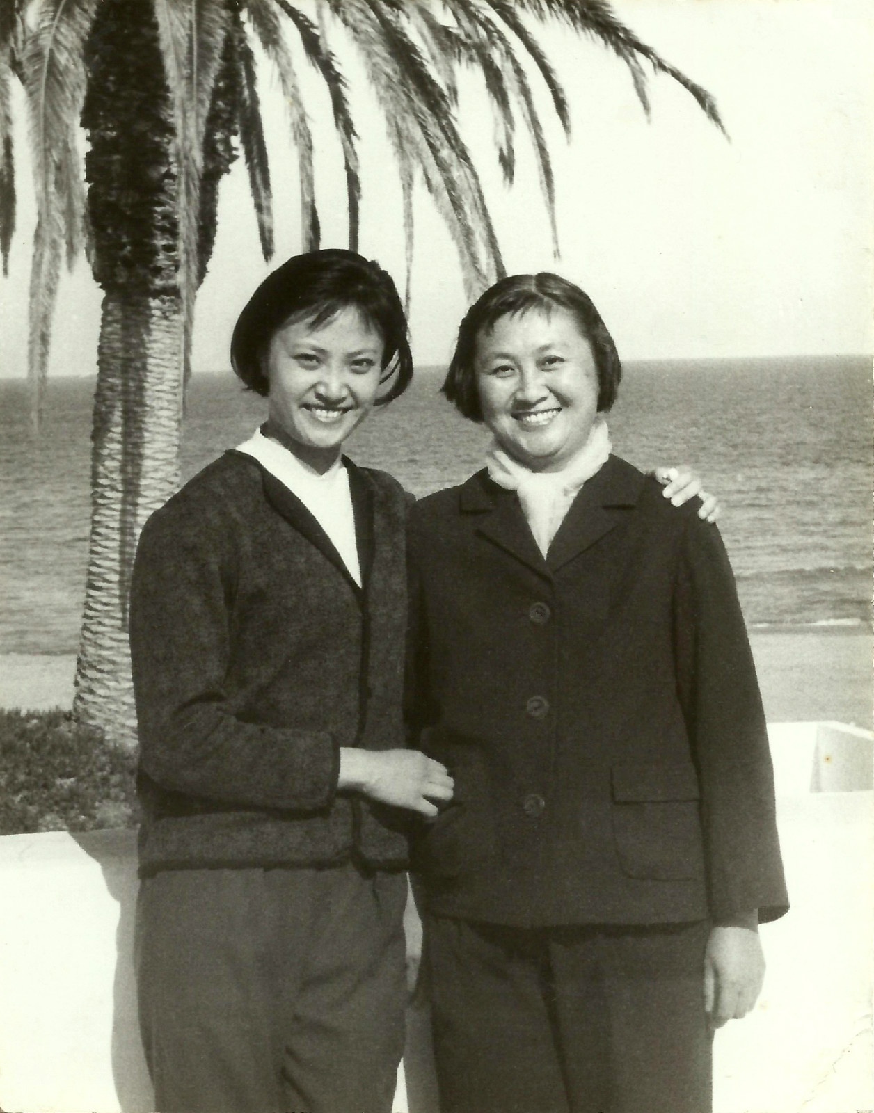 杨春霞