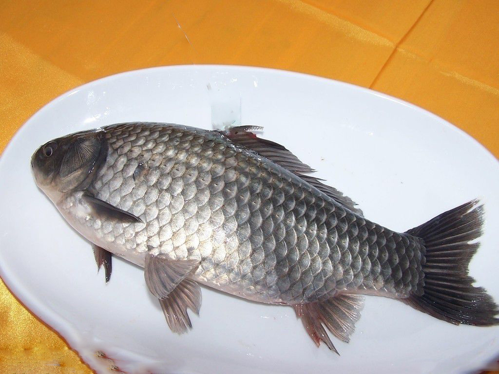 gcw">南湾鱼,产自 a target="_blank" href="/item/信阳市/13859302"