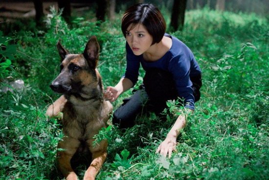 ">步枪,也叫小七, a target="_blank" href="/item/幽灵犬/15421549"