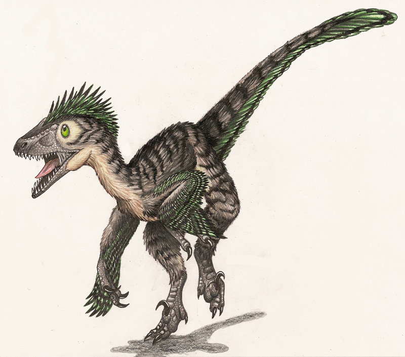  p>驰龙科(dromaeosauridae)是群类似 a href="#" data-lemmaid="