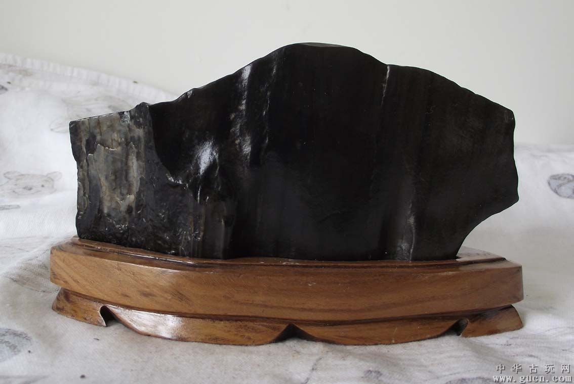 新疆奇台硅化木