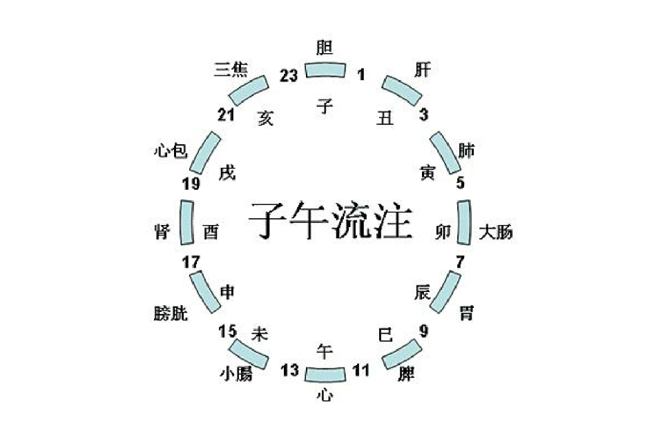 xq">子午流注,是 a target="_blank" href="/item/中医针灸/8394575"