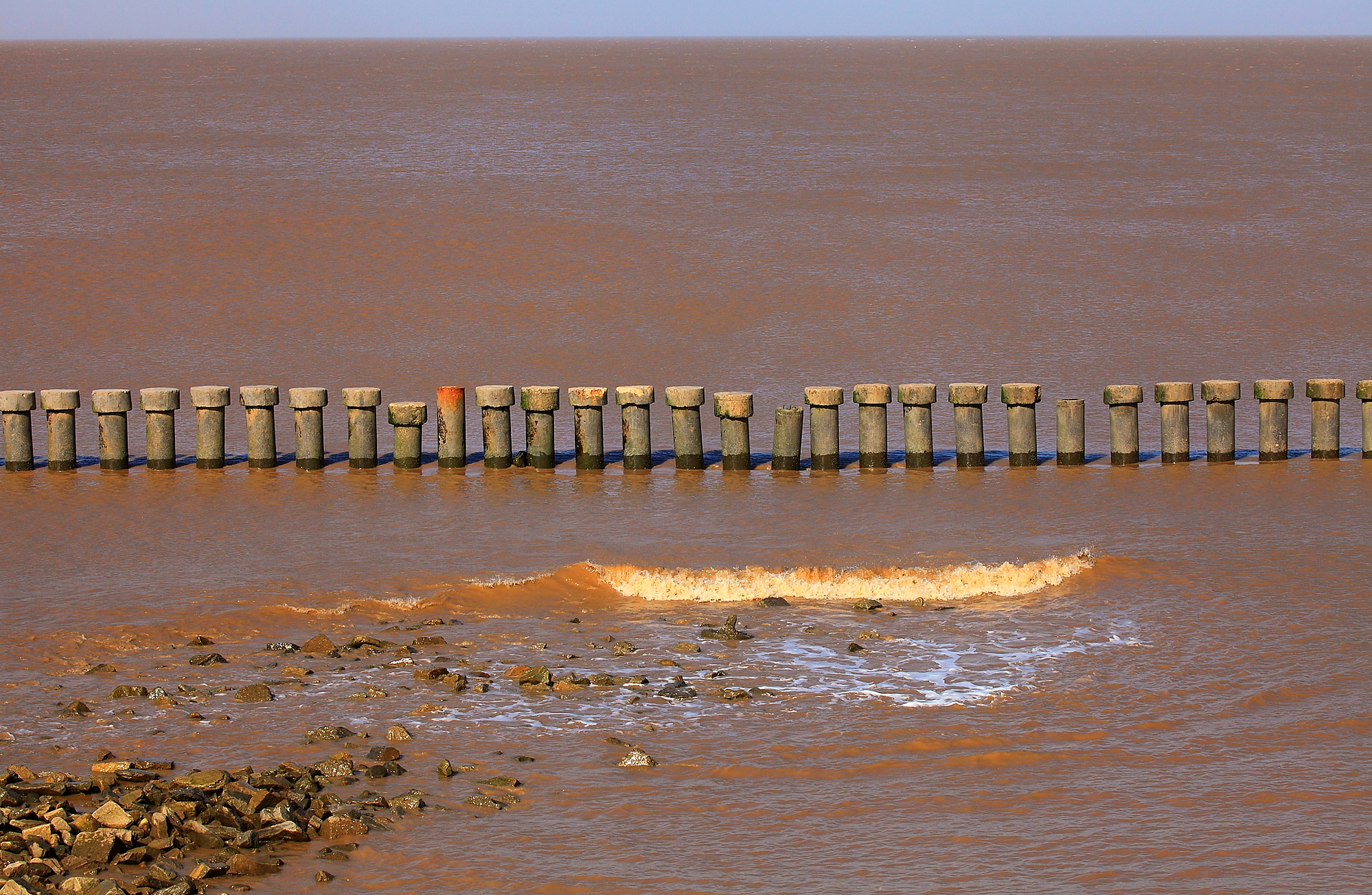 江苏盐城保护区
