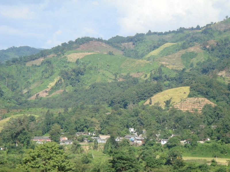  p>那邦自然村,隶属于云南省德宏傣族景颇族自治州盈江县那邦镇那邦