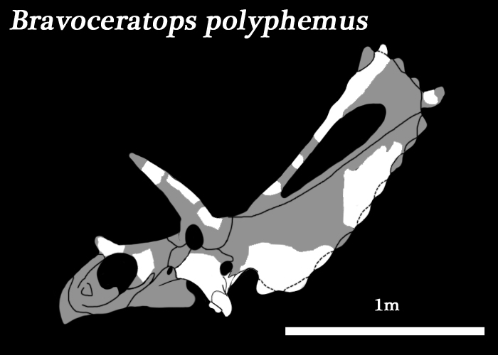 波吕斐摩斯布拉沃角龙