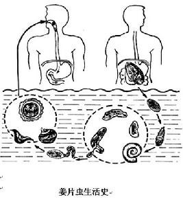  p>钱潮,汉族,中国儿科专家及寄生虫病学专家.