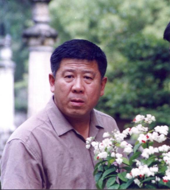 静静白桦林