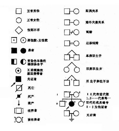 常染色体隐性遗传病