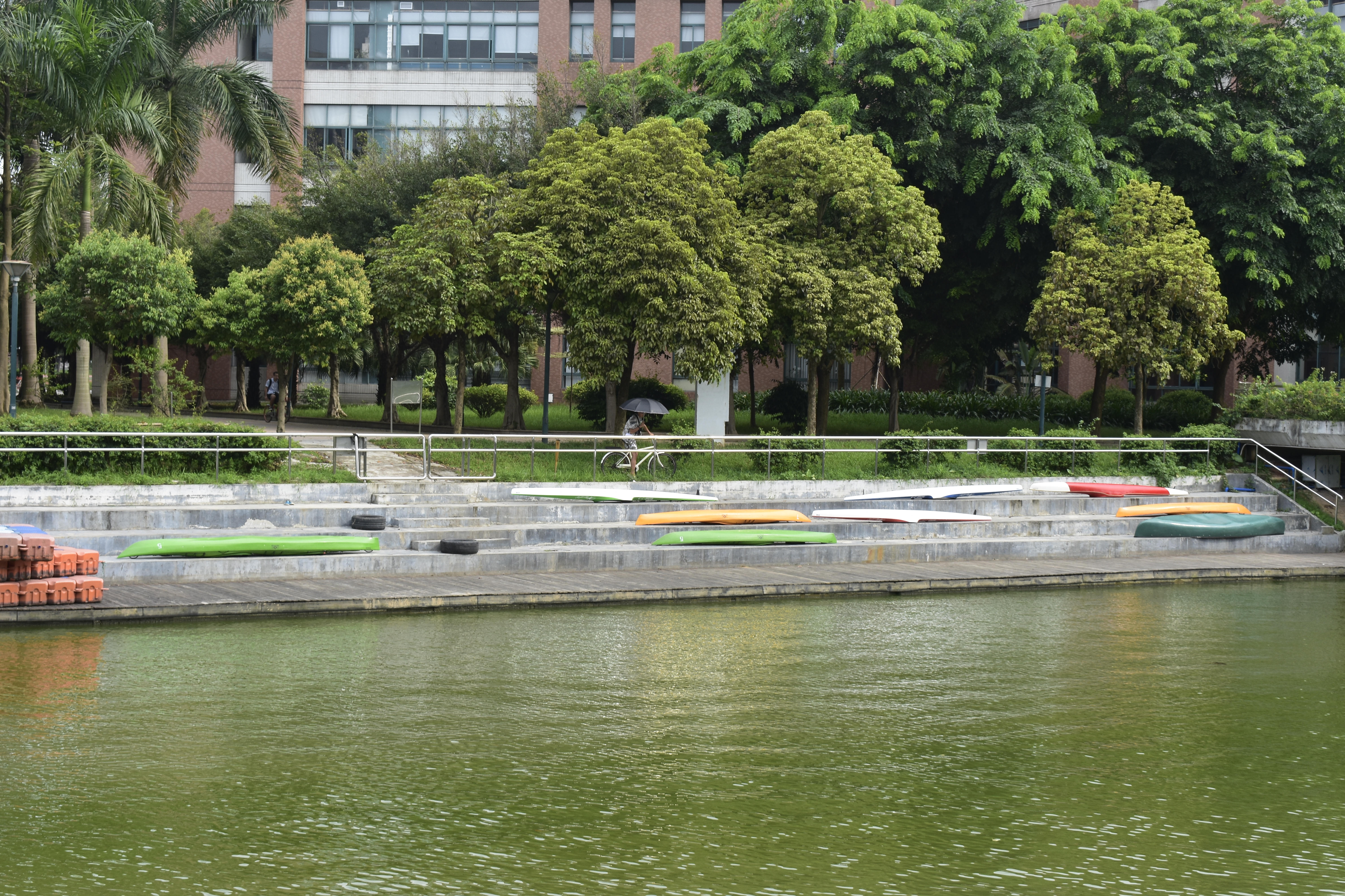  p>中山大学( i>sun yat-sen university /i>),简称 a target="_blank