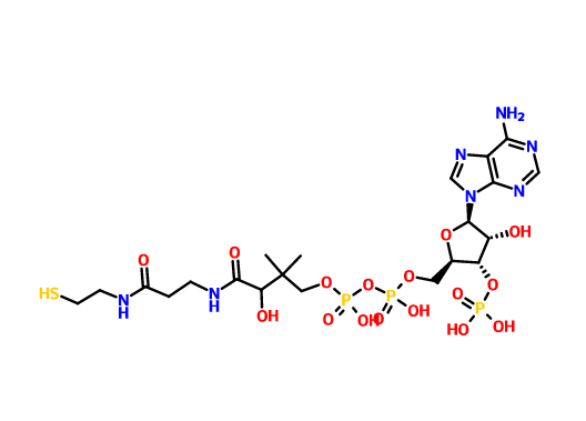 ,是一种辅酶,值得注意的是其在合成和氧化脂肪酸