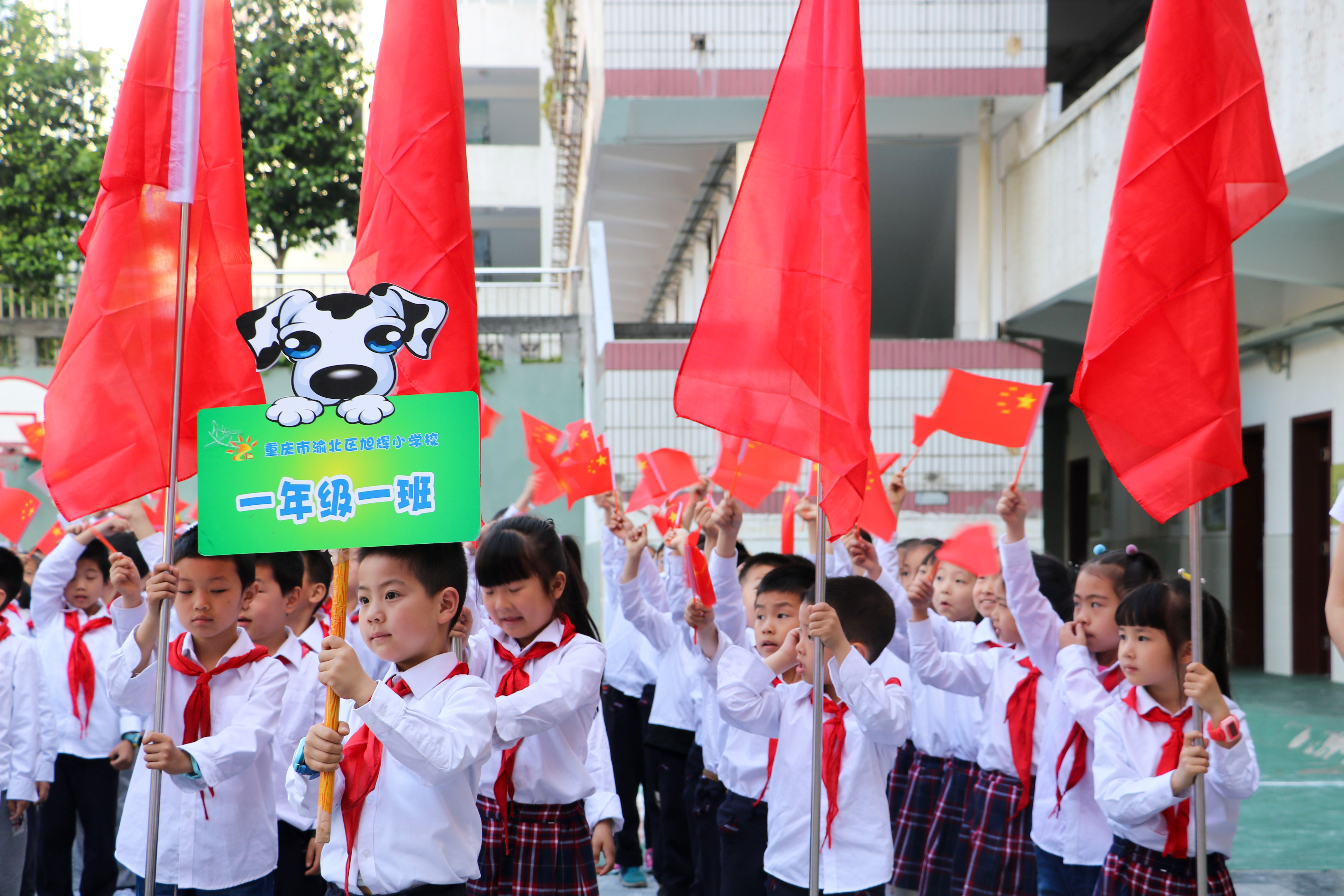 年7月31日研究决定,同意成立的一所城区小学,渝北区旭辉小学筹建组