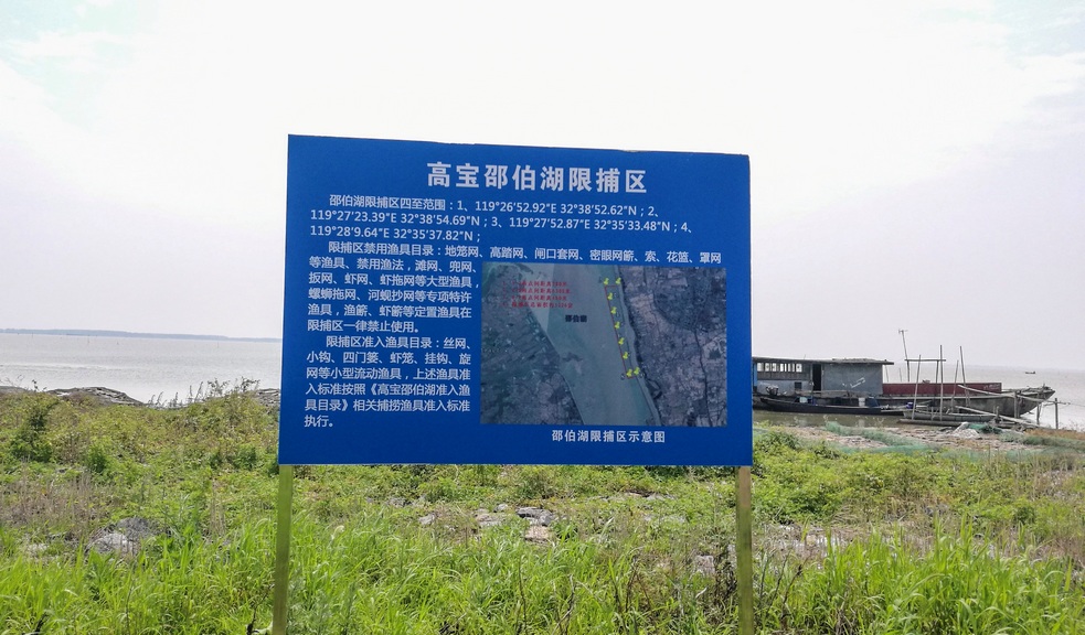 邵伯湖