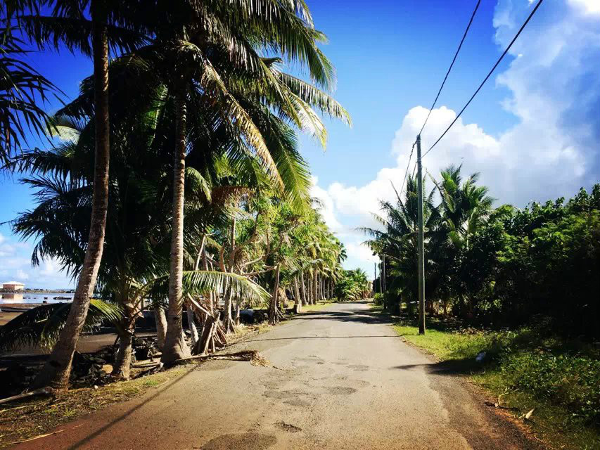  p>瓦利斯和 a href="#" data-lemmaid="10873982">富图纳群岛 /a>