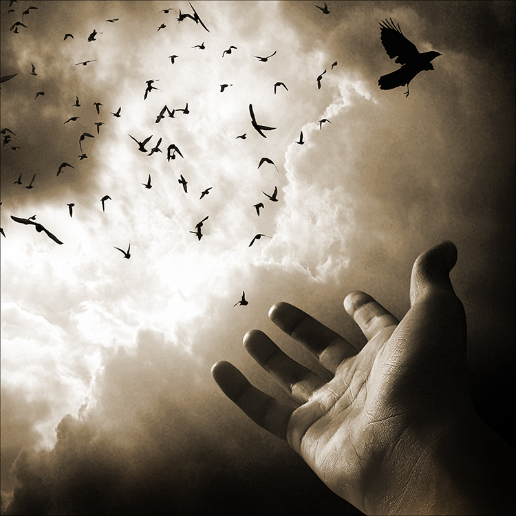  p data-id="gnb7p6d8q6">《飞走了》:海心个人创作之《爱的独立宣言