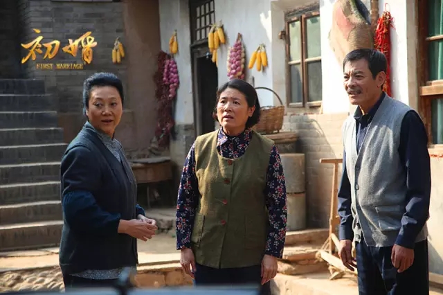  p data-id="gncmzbq8vg">《初婚》是由中央电视台,西安曲江丫丫影视