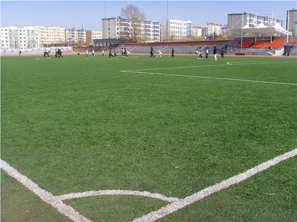 法库县高级中学