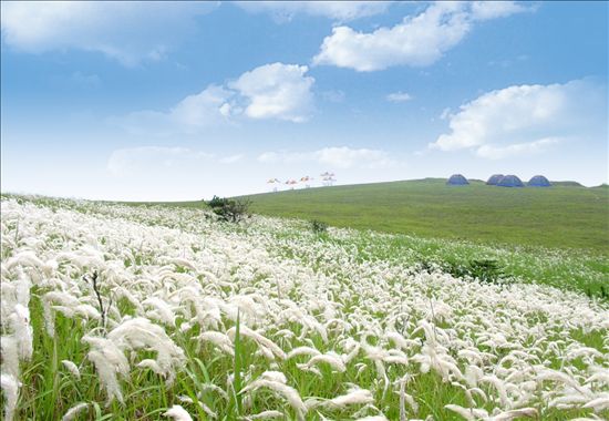  p>竹屿,浙江温州洞头县城东侧,亚热带季风气候,占地面积45000平方米.