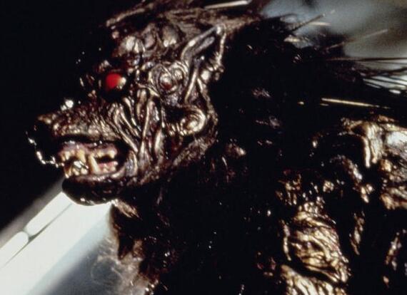  p>《铁血人狼》是alessandro de gaetano执导的恐怖片,金·德莱尼和