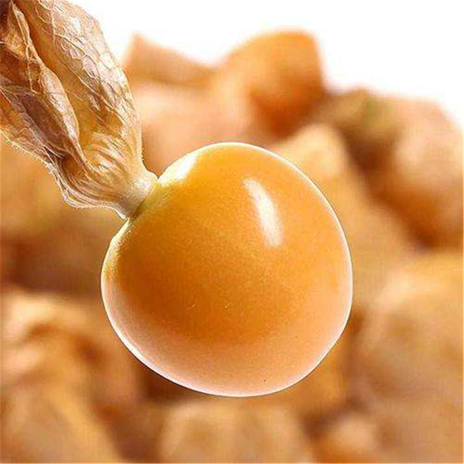 哥伦比亚龙珠果