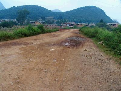 车白泥龙树脚村