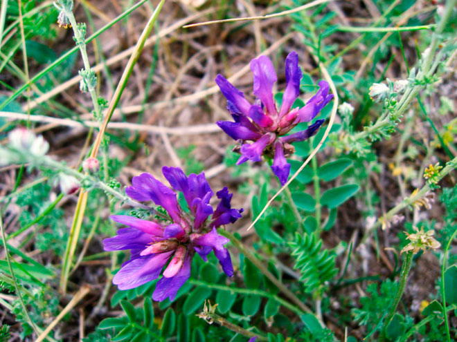  p>青海湖国家级自然保护区位于 a target="_blank" href="/item/青藏