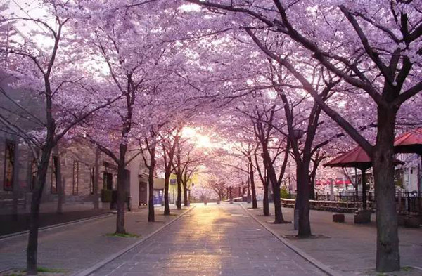 井之头恩赐公园