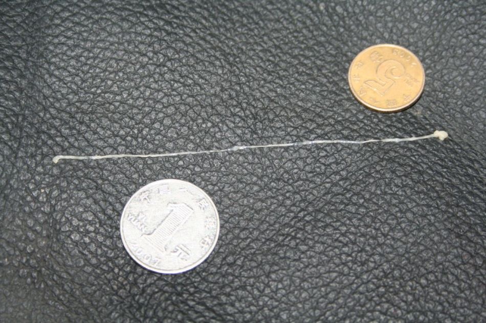 data-lemmaid="6603985">曼氏迭宫绦虫裂头蚴,其成虫寄生在猫,狗