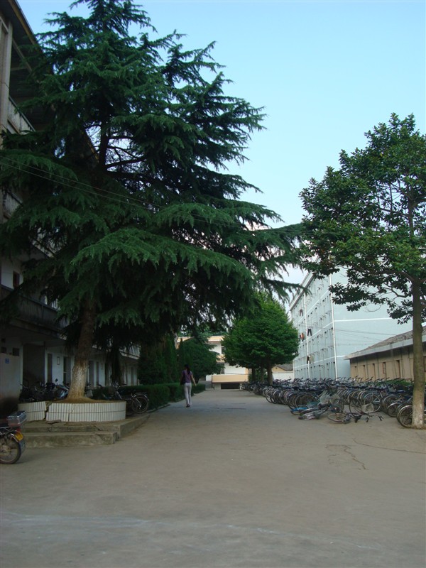 安远县第二中学