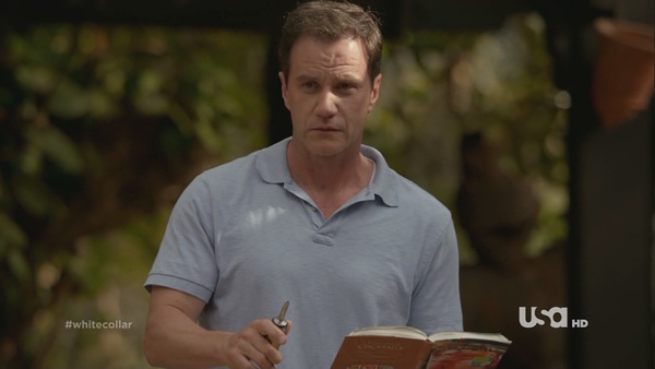 《猫鼠游戏》),是由美国usa network电视台播出,马特波莫,蒂姆·迪凯