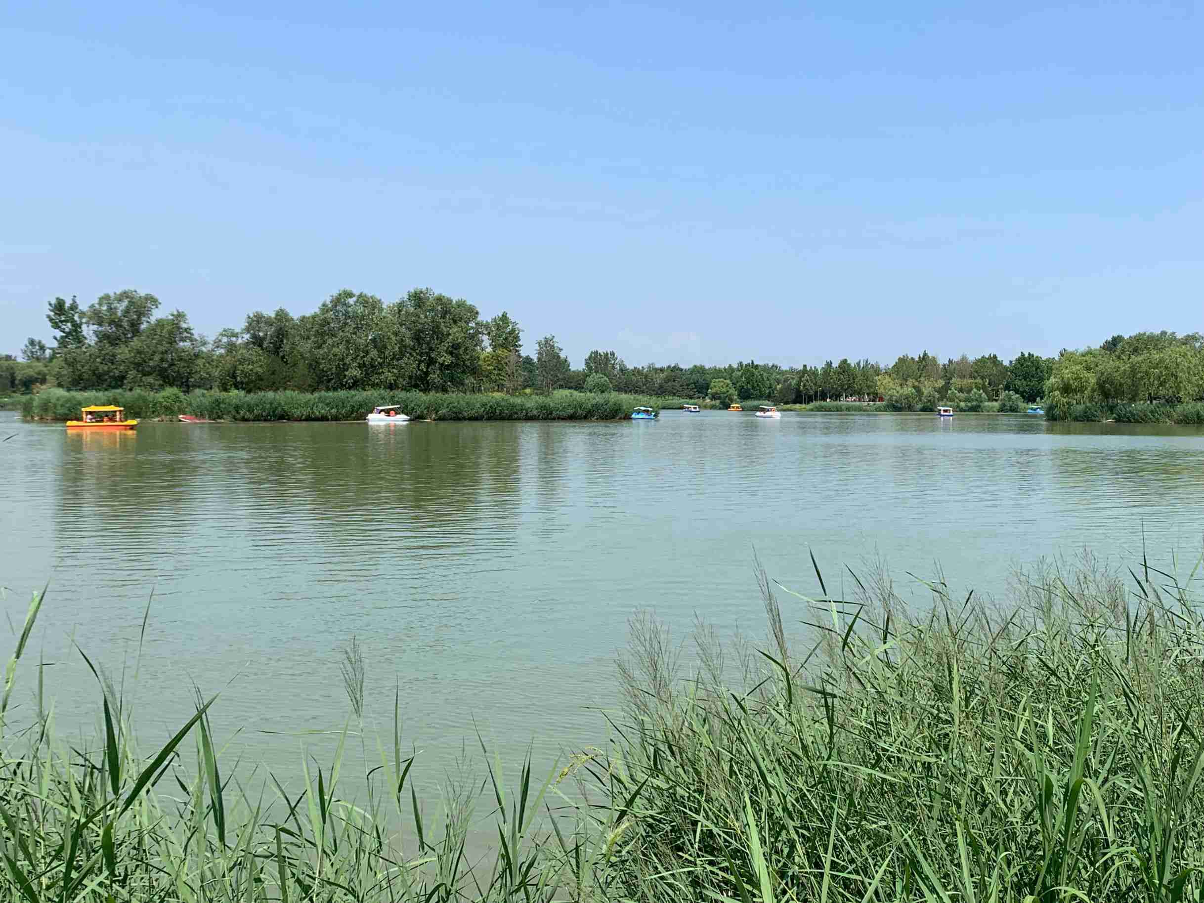  p>北京南海子郊野公园是 a href="#" data-lemmaid="128981">北京 /a