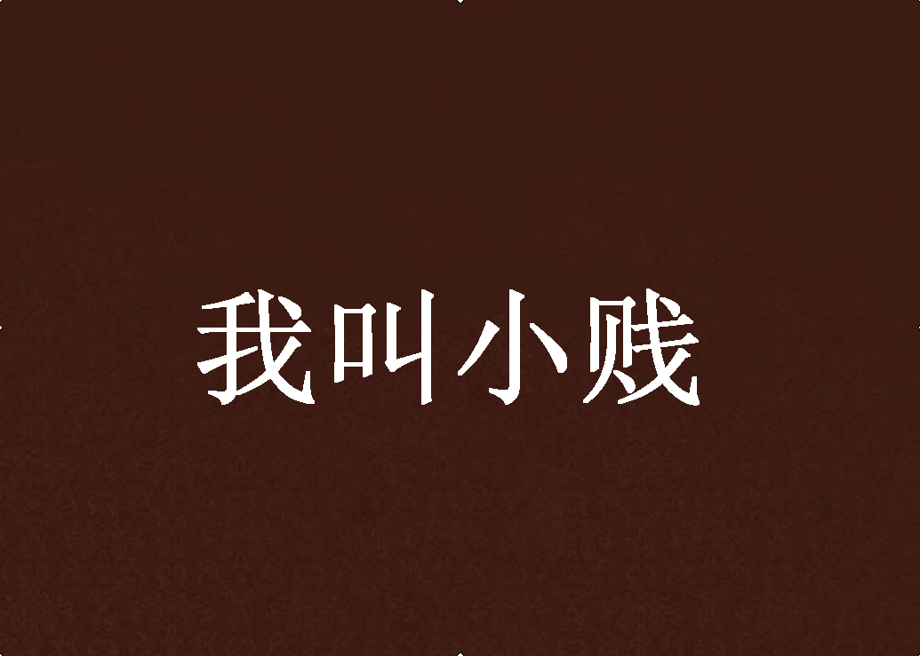我叫小贱