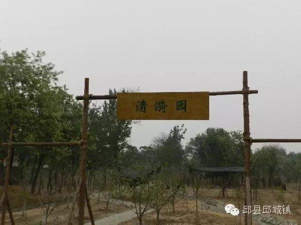 段寨村抖音=老挝媳妇中国老公抖音