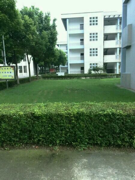 p> a target="_blank" href="/item/江苏省泰兴市第四高级中学