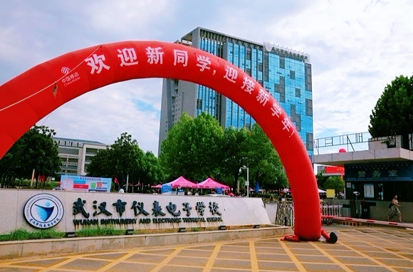 武汉市电子仪表学校