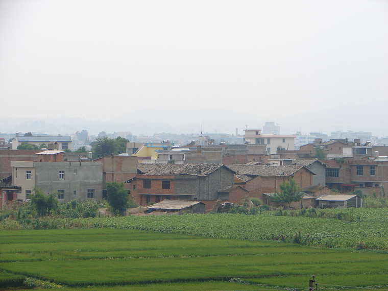 target="_blank" href="/item/玉溪市">玉溪市 /a>江川县大街镇海浒