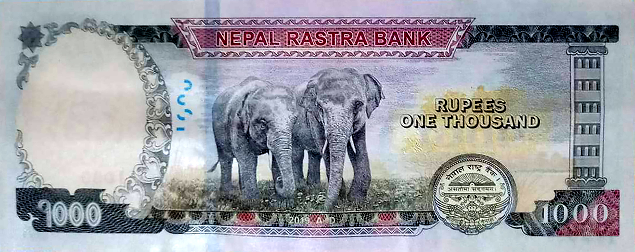  p>尼泊尔卢比,代号是 a href="#" data-lemmaid="15388728">npr /a>