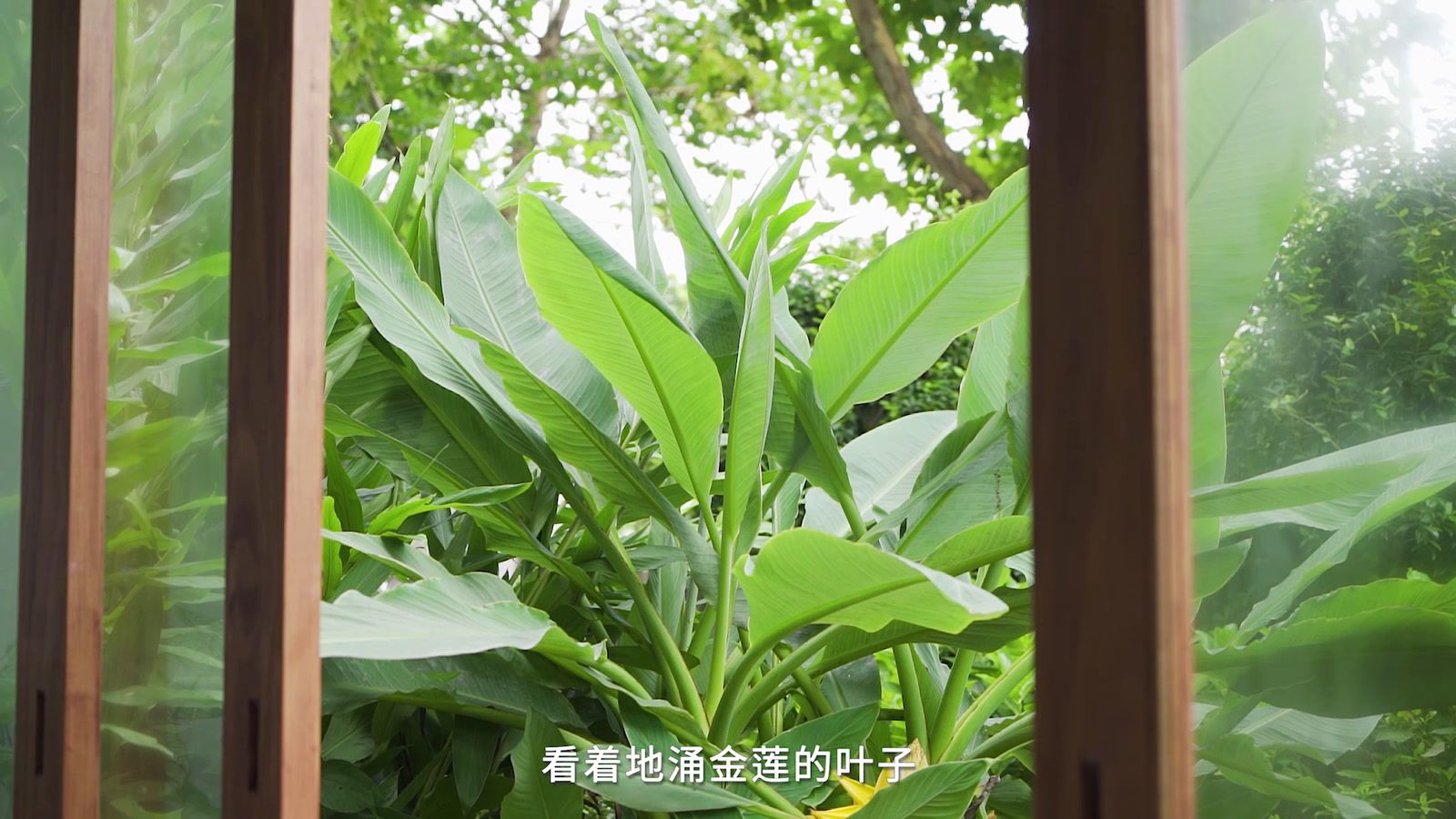 梅雨季 百度百科