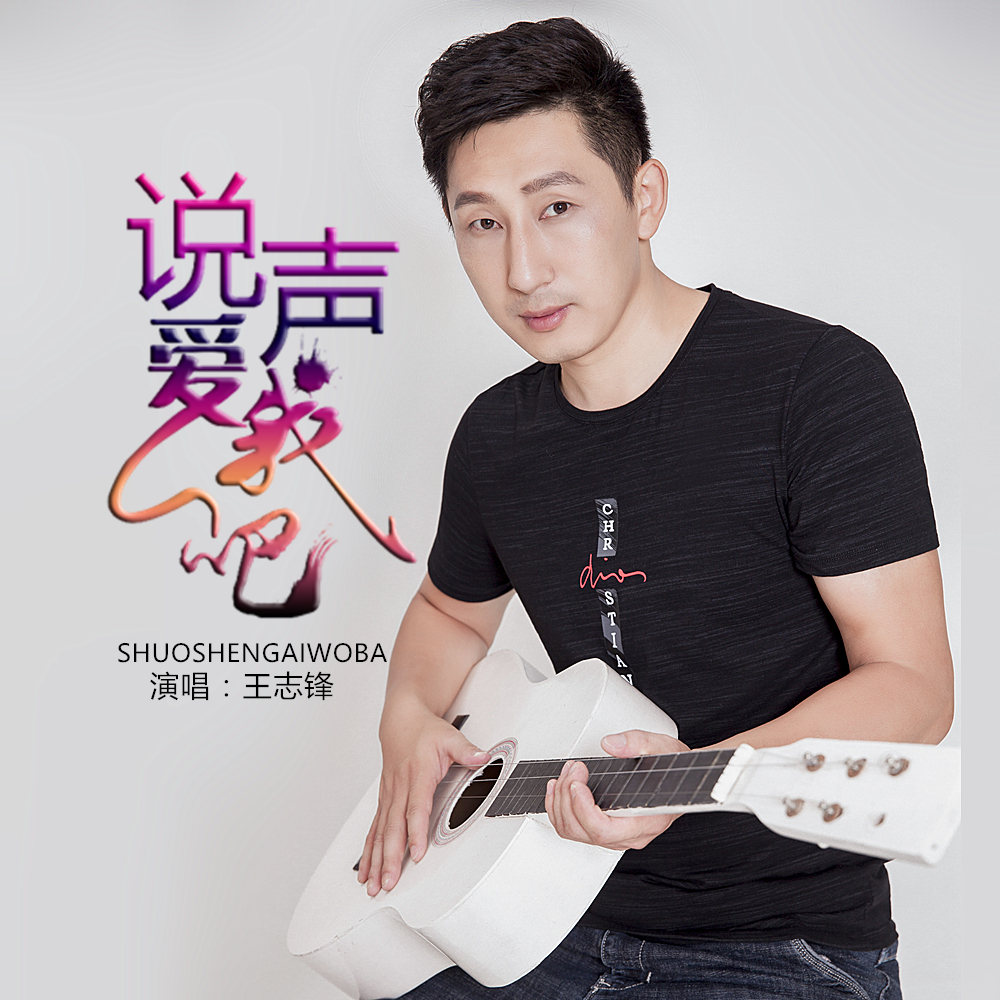  p data-id="gmwxv3y79u">《说声爱我吧》是王志锋演唱的歌曲,由王志