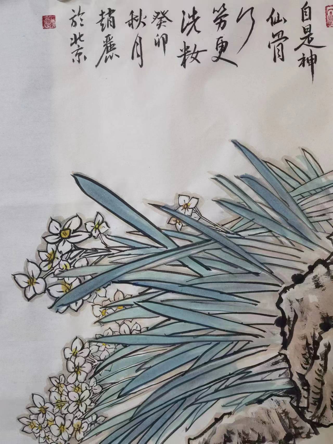 赵丽